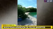 República Dominicana: Científicos hallan miles de peces muertos en un puerto de Barahona - Noticias de cientificos