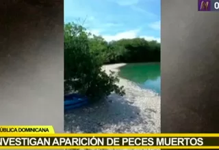 República Dominicana: Científicos hallan miles de peces muertos en un puerto de Barahona