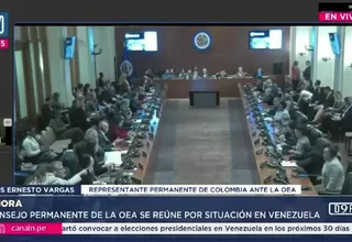 OEA: Colombia denuncia violación del derecho internacional por acciones en Venezuela