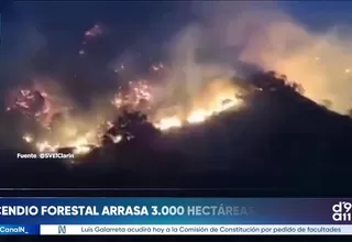 Colombia: incendio forestal destruyó 3 mil hectáreas y áreas turísticas en Santander