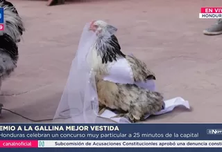 Concurso en Honduras premia a la gallina mejor vestida