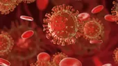 Detectan anticuerpo que bloquea infección del coronavirus en las células - Noticias de infeccion