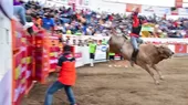 Costa Rica: la polémica fiesta con toros que se celebra a fin de año - Noticias de corrida-toros