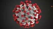 Científicos de Sudáfrica hallan una nueva variante del coronavirus muy mutante - Noticias de cientificos