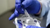 Coronavirus: Creadores de vacuna Sputnik V demandarán al regulador brasileño por difamación - Noticias de sputnik-v