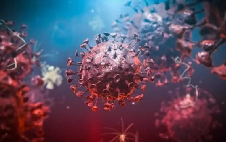 Estudio afirma que variante británica del coronavirus es entre 50% y 74%  más contagiosa | Canal N