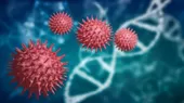 Coronavirus: Personas con un segmento de ADN del neandertal podrían sufrir casos graves de COVID-19, según estudio - Noticias de adn