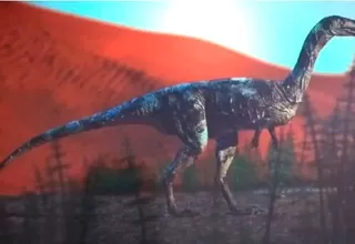 Brasil: descubren al Vespersaurus paraensis, nueva especie de dinosaurio carnívoro