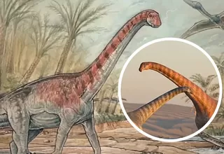 Descubren en Argentina una nueva especie de dinosaurio