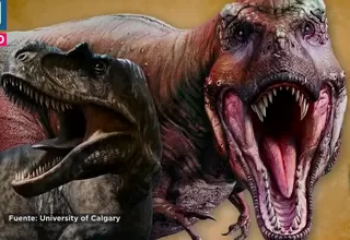 Descubren fósil que revela el origen del Tiranosaurio rex