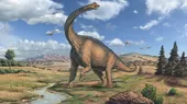 Descubren la huella de dinosaurio más grande de la historia - Noticias de dinosaurio