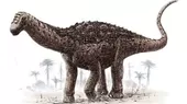 Ecuador: Descubren al primer dinosaurio que vivió en ese país - Noticias de dinosaurio