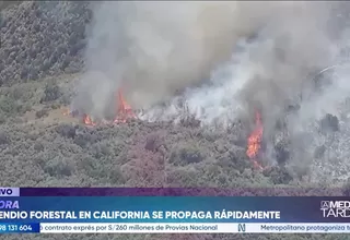 EE.UU: Un incendio forestal en California se propaga rápidamente