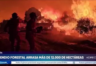 España: incendio forestal arrasó con más de 12 mil hectáreas