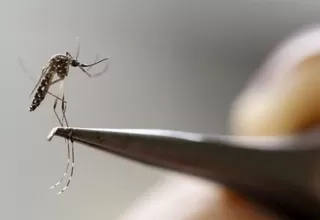 España registra primer caso de embarazada con zika en Europa