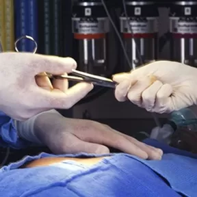 Estados Unidos: Cirujanos trasplantan con éxito un corazón de cerdo a una persona