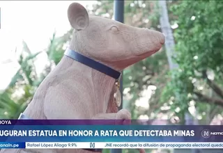 Estatua de rata heroica Magawa es inaugurada en Camboya