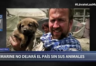 Exmarine británico intenta abandonar Afganistán junto a más de 200 mascotas