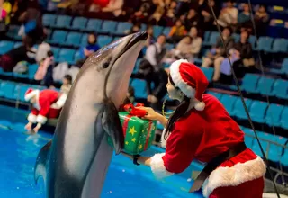 ¡Felices fiestas!: Así se celebra la Navidad en el mundo