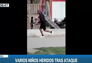 Francia: Hombre atacó con un cuchillo a niños y adultos en parque infantil