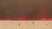 Francia: incendios forestales avanzan - Noticias de ayabaca