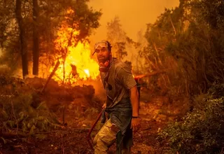 Grecia: Bomberos continúan luchando contra incendios por séptimo día consecutivo