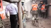 Guatemala: perro guía a rescatistas para encontrar los cuerpos de sus dueños  - Noticias de rescatistas