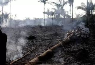 Humareda de incendios en Bolivia y en la Amazonía de Brasil llegó a Perú