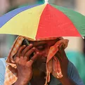 India: Sufre ola de calor m&aacute;s larga desde que hay registros