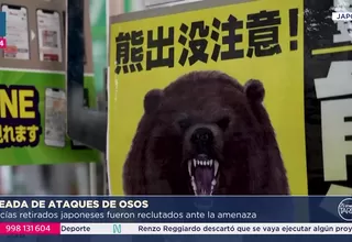 Japón adopta medidas tras récord de ataques de osos