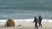 Japón: Expertos confirman que misteriosa esfera se trata de una boya perdida - Noticias de playa