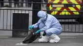 Londres: detienen a hombre con cuchillos cerca del Parlamento británico - Noticias de cuchillo
