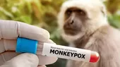 OPS: América es el epicentro del brote de viruela del mono - Noticias de ops
