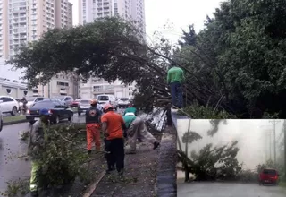 Panamá: aumentan a 4 los muertos por tormenta Otto