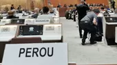 Perú apoya resolución adoptada en Consejo de DD.HH. de la ONU sobre situación en Ucrania - Noticias de onu