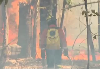 Reportan más 102 mil incendios forestales en Sudamérica