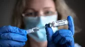 Rusia comienza a vacunar a animales contra el coronavirus en varias regiones - Noticias de animales