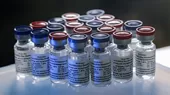 Rusia enviará 25 millones de dosis de su vacuna contra la COVID-19 a Egipto - Noticias de egipto