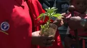 Sudáfrica legaliza el consumo privado de marihuana - Noticias de cannabis