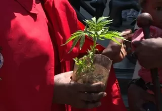 Sudáfrica legaliza el consumo privado de marihuana