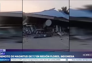 Un terremoto magnitud 7,7 sacude las costas de Indonesia