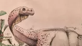 Trueno gigante, un nuevo dinosaurio de 12,000 kilos hallado en Sudáfrica - Noticias de dinosaurio