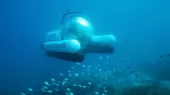 Australia: Uber lanzó viajes en submarino para visitar la Gran Barrera de Coral - Noticias de submarino