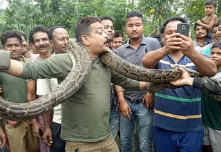 India: hombre casi es estrangulado por posar con pitón en el cuello