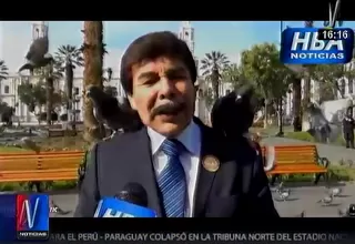 Alcalde de Arequipa: "Solo queremos controlar sobrepoblación de palomas"