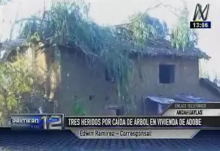 Andahuaylas: bebé de 2 años resultó herido tras caída de árbol en vivienda