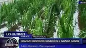 Andahuaylas: fuerte granizada afectó más de 50 hectáreas de cultivos - Noticias de granizada