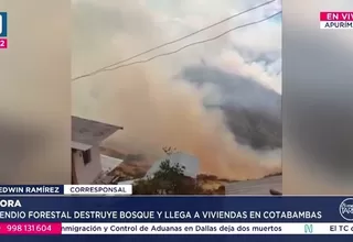Apurímac: Incendio forestal destruye bosques y afecta viviendas