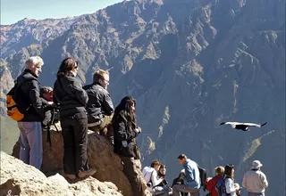 Valle del Colca: arequipeños tendrán ingreso gratuito por año nuevo