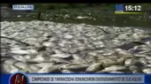 Campesinos de Yarinacocha denunciaron envenenamiento de sus aguas - Noticias de yarinacocha